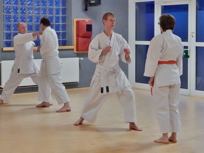 Karate Goju Ryo